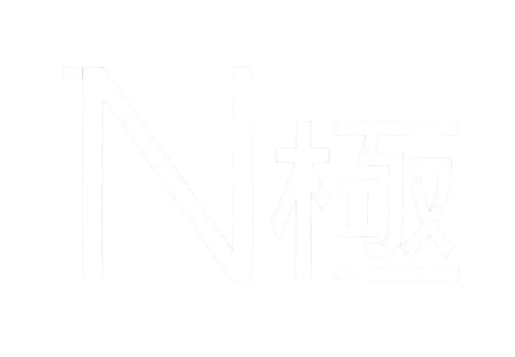 N極